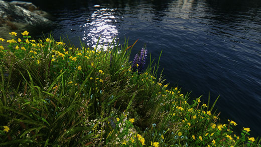 Skyrim Grafikleri Daha da Güzelleşiyor