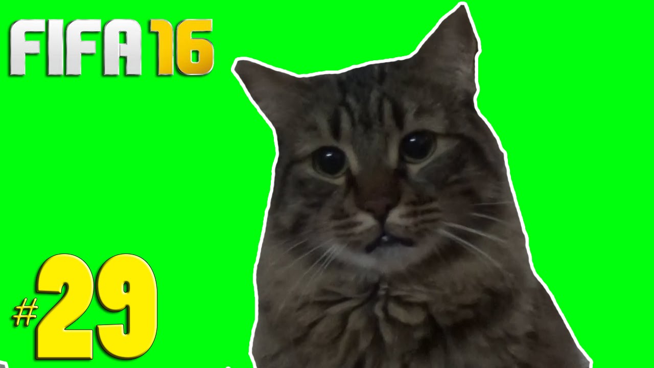 FIFA 16 Kariyer #29: HAKEMİ ALDATAN KEDİ!