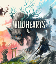 Wild Hearts - İnceleme