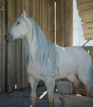 Crimson Desert - Efsanevi At Rehberi